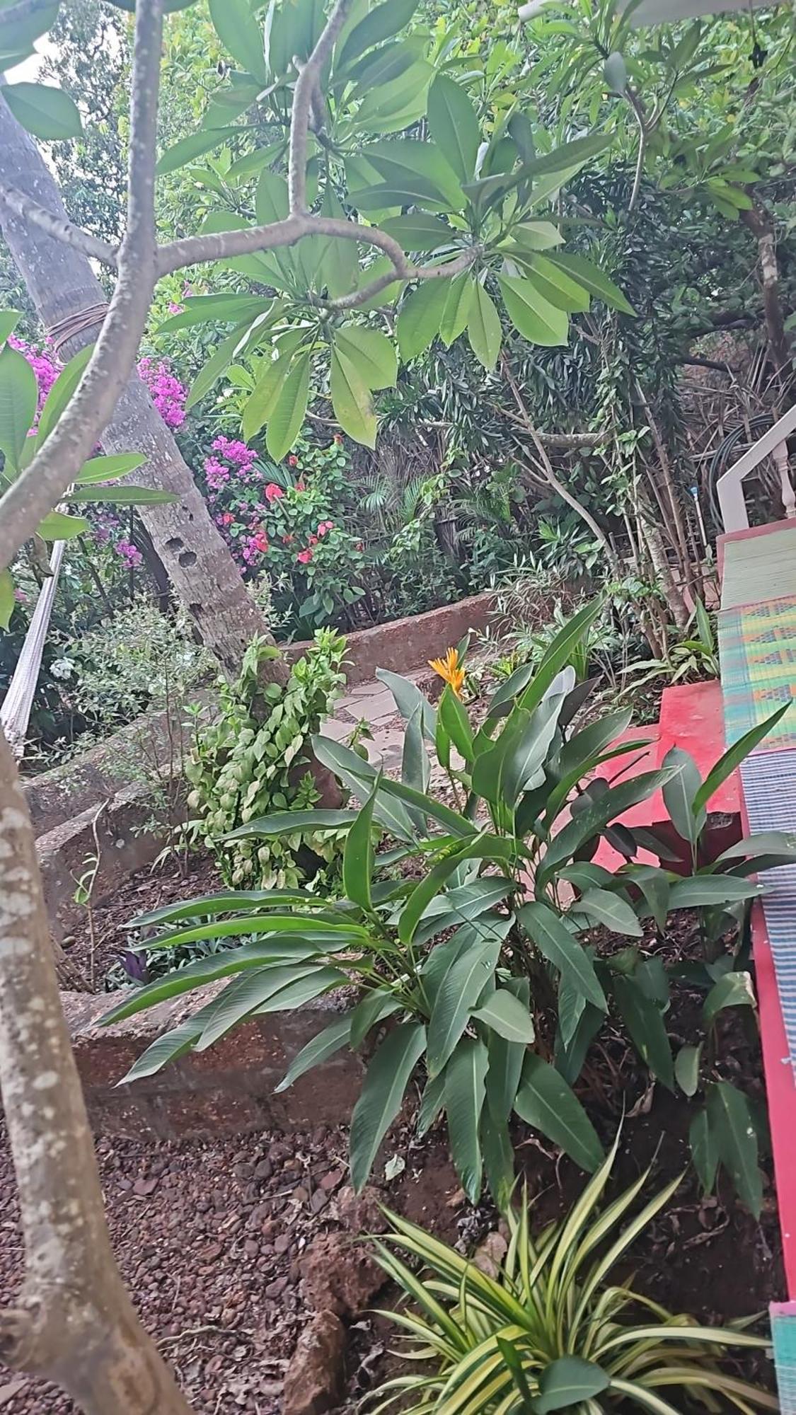 Laxmi Happy Home In Querim Goa Екстер'єр фото